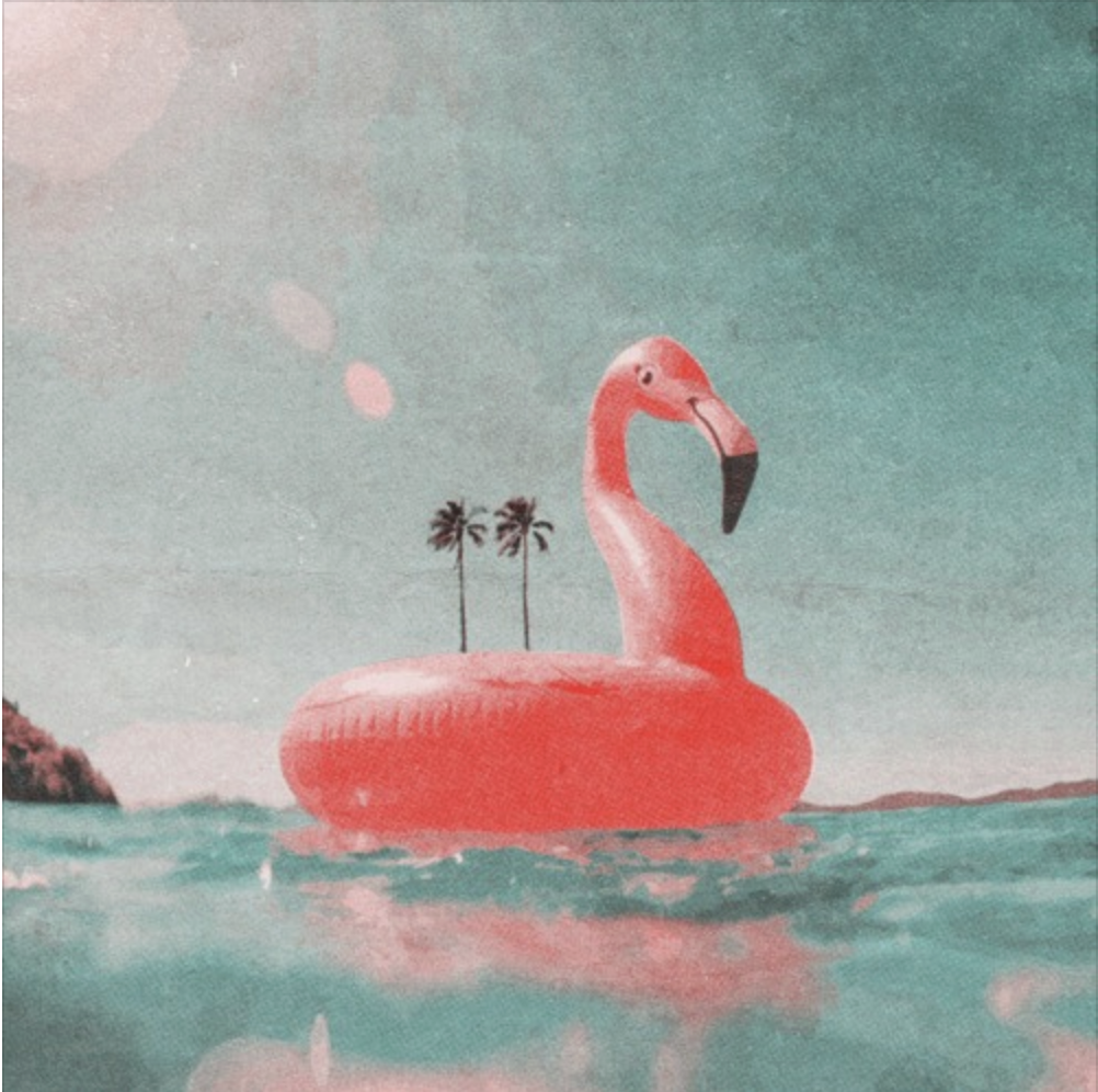 Music — Flamingosis